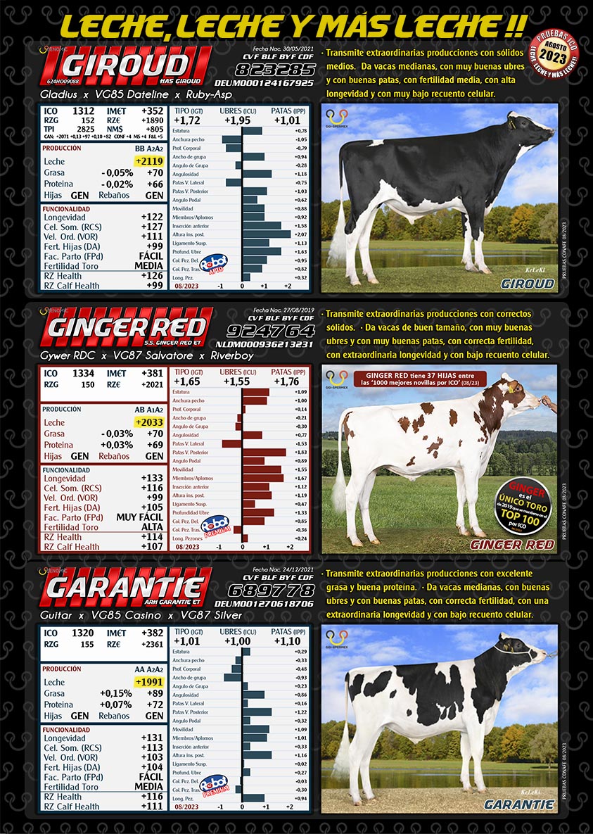 BAS·GGI - SPERMEX - TOROS ELITE LECHE/EQUILIBRADOS